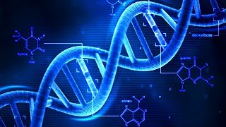 DNA  What is DNA  Basics of DNA [upl. by Opiak]