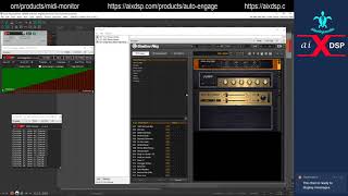 aiXdsp Auto Engage with Native Instruments Guitar Rig [upl. by Chrotoem300]