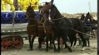 Paarden Reddingboot Ameland [upl. by Youngran]