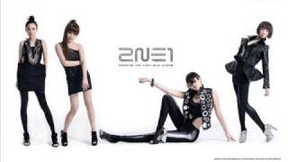 2NE1  I Dont Care Reggae Mix Version w download link [upl. by Asirral]