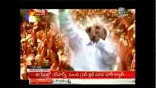 jagan anna odarpu yatra song [upl. by Eronaele]