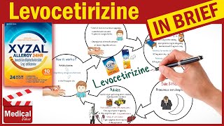 Levocetirizine 5 mg  Xyzal  What is Levocetirizine Used For Dosage Side Effects amp Precautions [upl. by Adnoval]