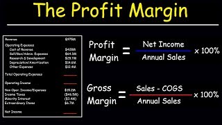 Profit Margin Gross Margin and Operating Margin  With Income Statements [upl. by Timmi]