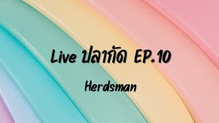 Herdsman​ Channel ปลากัด EP10 [upl. by Artinahs]