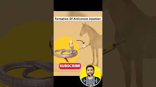 How Antivenom Injection Made [upl. by Calabrese]