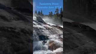 Tuolumne River Yosemite June 2024 [upl. by Greer]