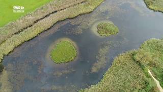 Peter Berthold und seine 100 Biotope [upl. by Harifaz]