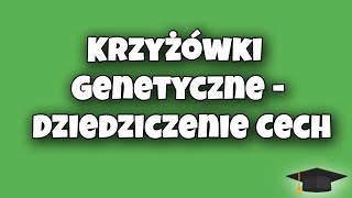 Krzyżówki Genetyczne  Dziedziczenie Cech  Biologia klasa 8 [upl. by Naibaf]