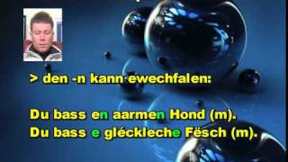 apprendre le luxembourgeois lulling clip27 les adjectifs [upl. by Tila]