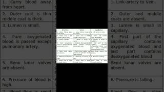 difference between arteries veins capillaries medicalstudent shortvideo Nursingstudy22 [upl. by Ayekel162]