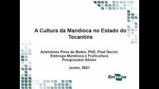 A Cultura da Mandioca no Estado do Tocantins [upl. by Alaric]