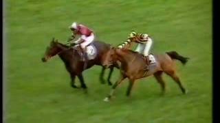 1984 Tingle Creek Handicap Chase [upl. by Gerta480]