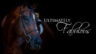 Ultimately Fabulous 2009 AQHA Stallion [upl. by Yclehc]