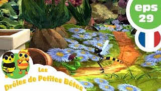 DRÔLES DE PETITES BÊTES  EP29  Qui veut des bisous [upl. by Akzseinga439]