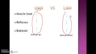 UMN vs LMN lesion made easy [upl. by Akital331]