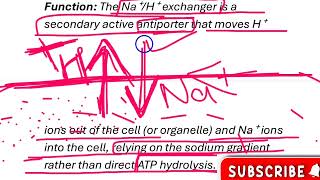 What are the Roles of VATPase NaH Exchange and HKATPase in Cell Acidification📚MZO001UNIT6 [upl. by Amaty]