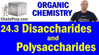 243 Disaccharides and Polysaccharides  Organic Chemistry [upl. by Nason373]