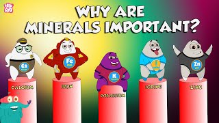 Why Are Minerals Important  Functions Of Minerals  The Dr Binocs Show  Peekaboo Kidz [upl. by Erdnad]