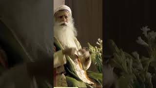 How to survive in a madhouse spiritualrealization sadhguru motivation hinduguru [upl. by Dulla]