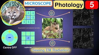 Photology 5 Seeing Electromagnetic Radiation EMR [upl. by Amathist422]