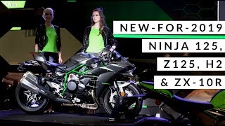 New Kawasaki models revealed for 2019  H2 Z125 ZX10R amp Ninja 125  INTERMOT Köln [upl. by Bahner]