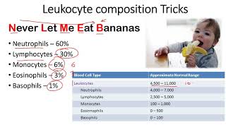 Leukocyte composition tricks to remember [upl. by Raddatz]