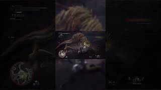 Killing great jagras the most anti climactic way possible [upl. by Ecidnak]