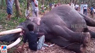 ഗജരാജന് പ്രണാമം ഉണ്ണികൃഷ്ണന്‍റെ ജഡം സംസ്കരിച്ചു Elephant Nadackal Unnikrishnan [upl. by Octavian]