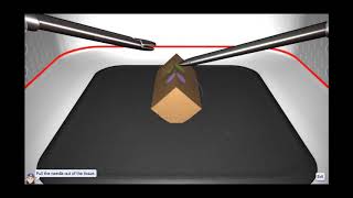 Suturing and AnastomosisRunning Stitching [upl. by Madella]