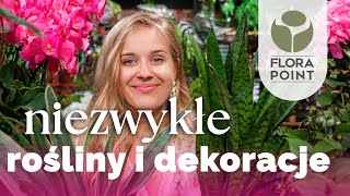 Niezwykłe osłonki ogromna hoja i moc wazonów  przegląd nowości  Flora Point [upl. by Ilatfan]