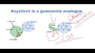 Mechanism of Action of Acyclovir [upl. by Avera]