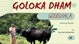 Training review of Goloka Dham goushala 👍 [upl. by Eetsirk]