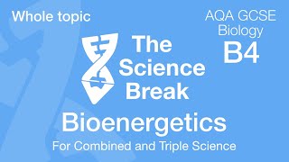 Whole of Unit 4  AQA GCSE Biology  Bioenergetics [upl. by Nieberg441]