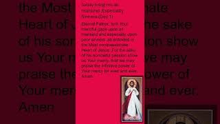 Divine Mercy Novena Day 1 youtubeshorts [upl. by Vierno]