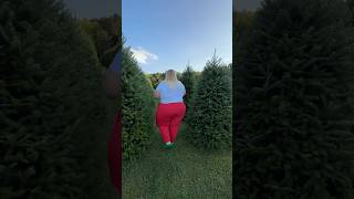 A little Christmas tree farm behind the scenes… [upl. by Sokim]