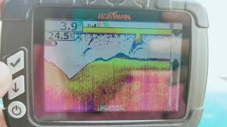 Boatman Sonar 22 Fishfinder [upl. by Ainuj]