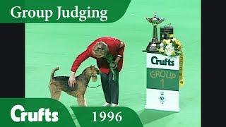 Airedale Terrier wins Terrier Group Judging at Crufts 1996 [upl. by Scammon676]