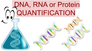 Quantitate DNA RNA or Protein with the new Qubit 4 Fluorometer [upl. by Llezo551]