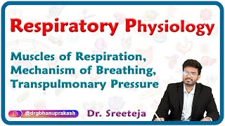 Muscles of respiration Mechanism of breathing Transpulmonary pressure  Physiology USMLE Step 1 [upl. by Navonoj]