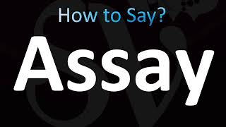 How to Pronounce Assay CORRECTLY [upl. by Ellehsar]