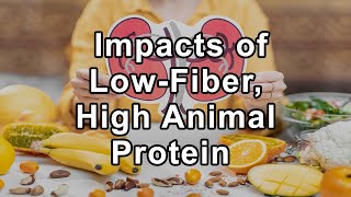 The Negative Impacts of LowFiber High Animal Protein Diets on Kidney Health  Jennifer Moore MS [upl. by Tades340]