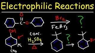 Electrophilic Aromatic Substitution Reactions Made Easy [upl. by Tymothy422]