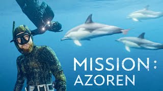 Robert und Fritz unterwegs mit Delfinen  Mission Azoren [upl. by Desiri]