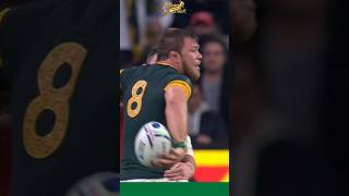 Duane Vermeulen OFFLOAD 🔥 Springboks vs Wales [upl. by Reivaxe]