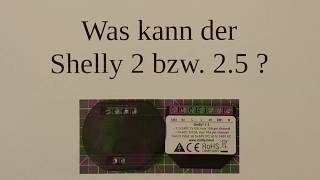 Was kann der Shelly2 bzw der Shelly25 [upl. by Inad]