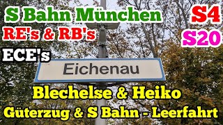 Eichenau mit S Bahn München REs amp RBs ECE Güterzug amp S Bahn Leerfahrt [upl. by Nahtad]