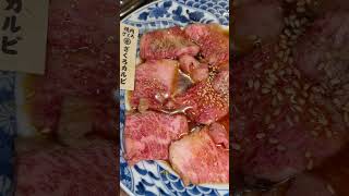 【三重県初上陸】肉と米が安くて美味いだけの店 b級グルメ焼肉 三重グルメ [upl. by Raffarty]