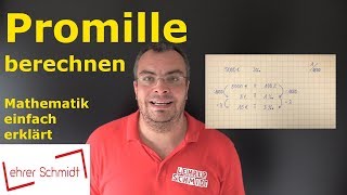 Promille berechnen  Mathematik  einfach erklärt  Lehrerschmidt [upl. by Oecam]