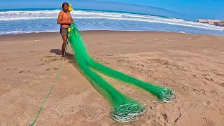 MIRA‼️ La técnica que usan estos hombres para PESCAR en playa de arena no creerás lo que atraparon [upl. by Lindsley]