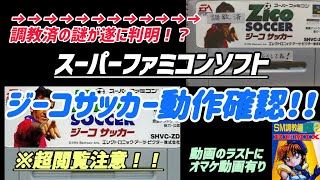 【走召閲覧注意】調教済ジーコの謎がついに明かされる？！ジーコサッカーの闇を暴く！！完結編。【動作確認】※動画のラスト付近にオマケ動画が有ります。 [upl. by Adnaluy98]